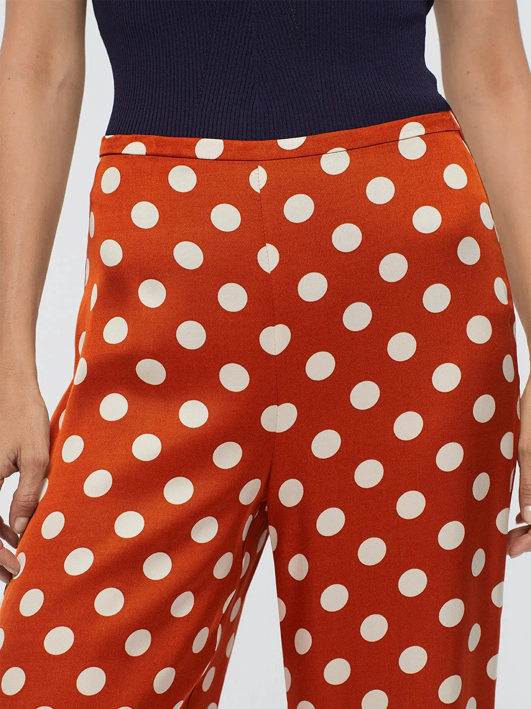 Big Dot Jacquard Pants