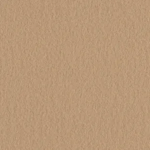 Full Wool - Seashell - 4008 - 20
