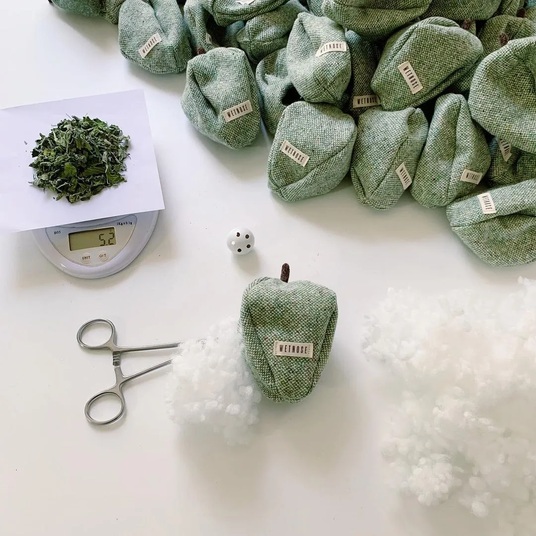 GREEN APPLE CATNIP TOY