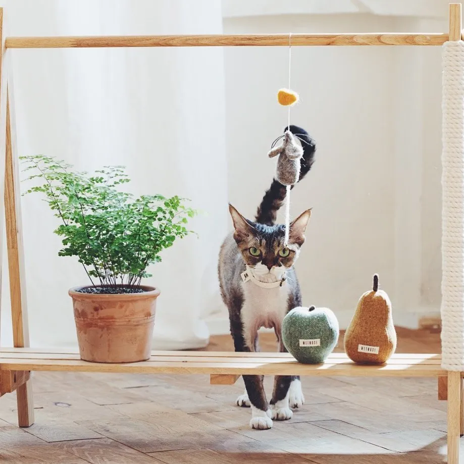 GREEN APPLE CATNIP TOY